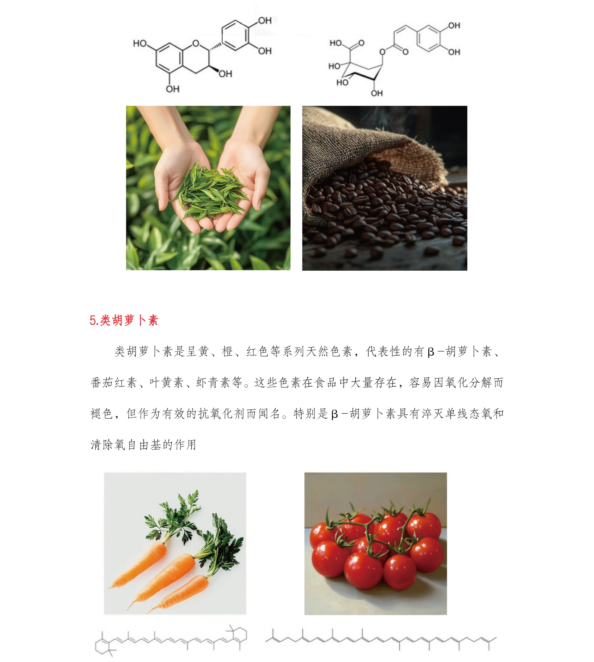 圖片關(guān)鍵詞 圖片關(guān)鍵詞